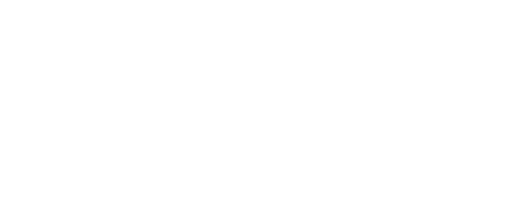Boen logo (white)